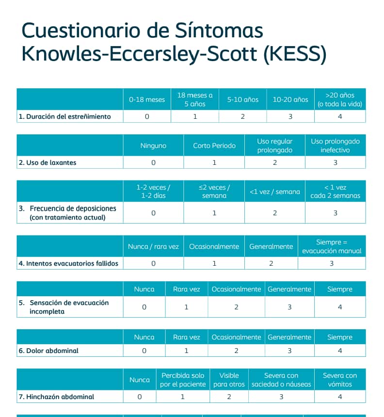 Cuestionario KESS